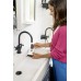 Karcher SC 1 Upright Buharlı Temizlik Makinesi