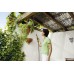 Karcher Premium Su Püskürtme Başlığı