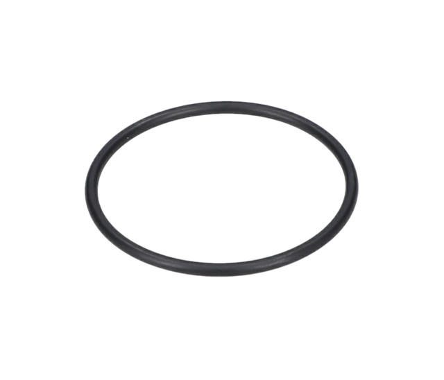 O RiNG - 1600210004 - BOSCH YEDEK PARCA