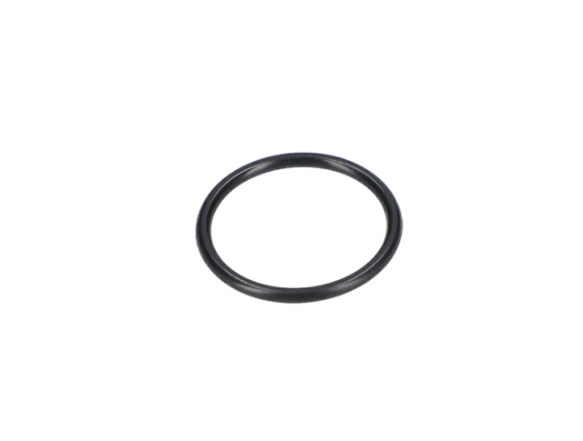 O RiNG - 160021005W - BOSCH YEDEK PARCA