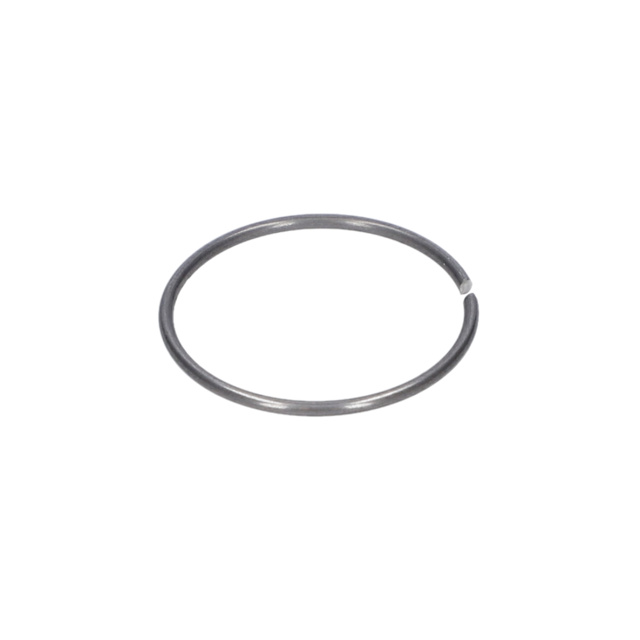 Tutma halkası - 1604601028 - BOSCH YEDEK PARCA