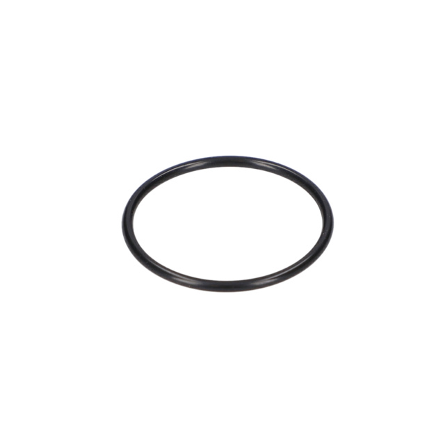 O RiNG - 1610210013 - BOSCH YEDEK PARCA