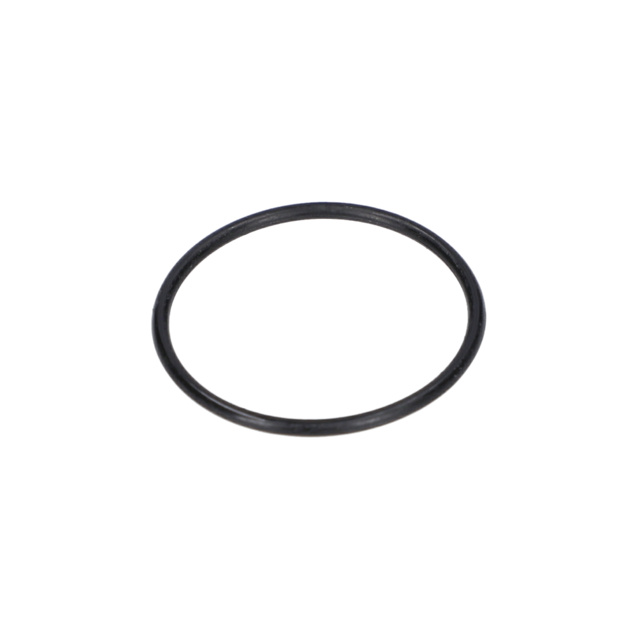 O RiNG - 1610210084 - BOSCH YEDEK PARCA