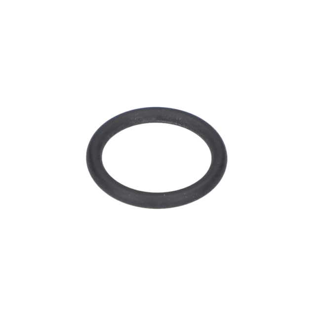 O RiNG - 1610210094 - BOSCH YEDEK PARCA