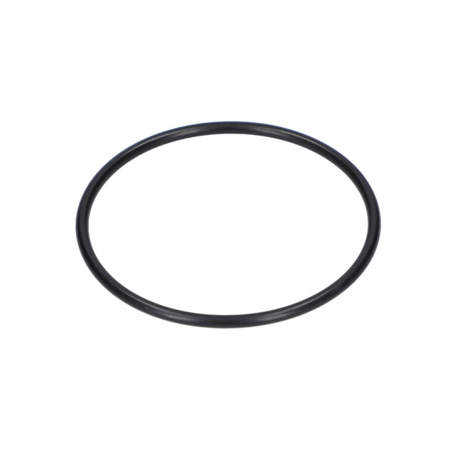 O RiNG - 1610210134 - BOSCH YEDEK PARCA