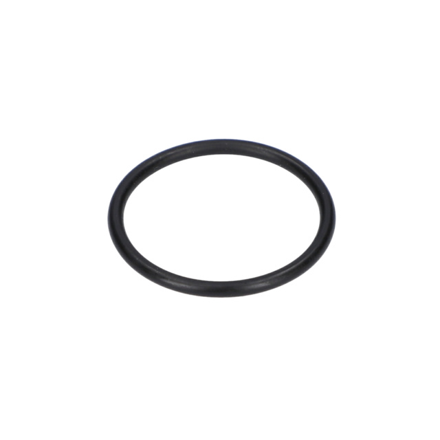 O RiNG - 1610210139 - BOSCH YEDEK PARCA