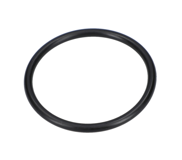 O RiNG - 1610210156 - BOSCH YEDEK PARCA