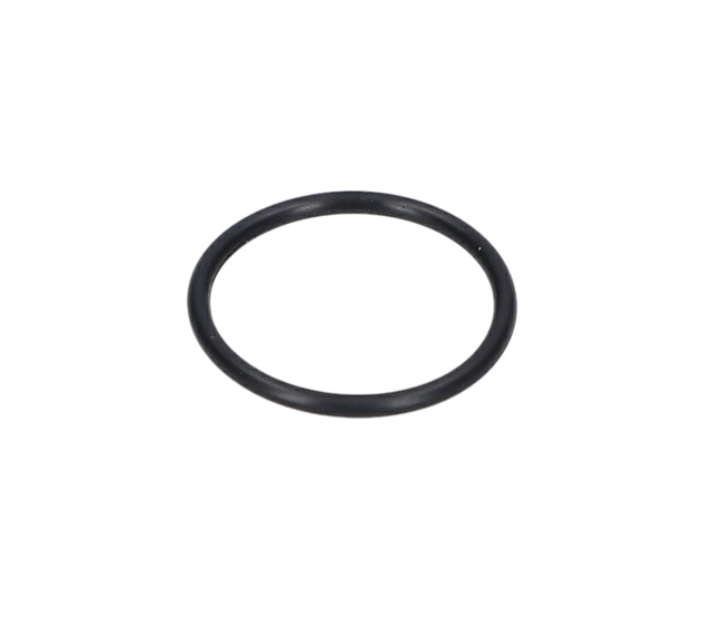 O RiNG - 1610210208 - BOSCH YEDEK PARCA