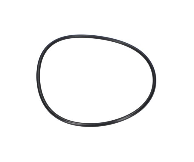 O RiNG - 1610210212 - BOSCH YEDEK PARCA