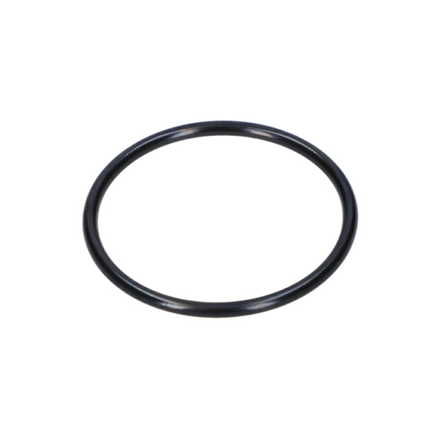 O RiNG - 1610210224 - BOSCH YEDEK PARCA