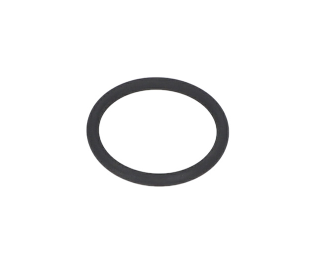 O RiNG - 1610210229 - BOSCH YEDEK PARCA