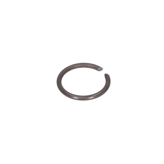 Tutma Halkası - 1614601027 - BOSCH YEDEK PARCA