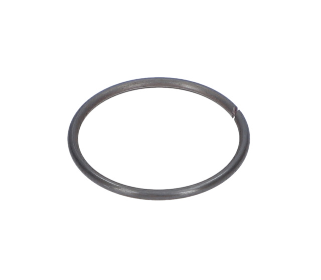 Tutma Halkası - 1614601046 - BOSCH YEDEK PARCA