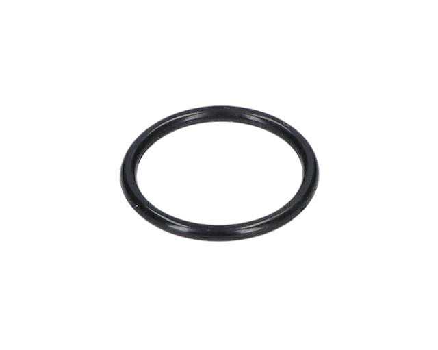 O RiNG - 1619PA2989 - BOSCH YEDEK PARCA