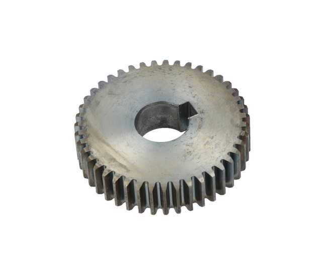 ALiN DiŞLiSi - 1619PA7834 - BOSCH YEDEK PARCA