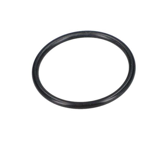 O RiNG NB31 NR5-25X2-NBR70 - 1900210124 - BOSCH YEDEK PARCA
