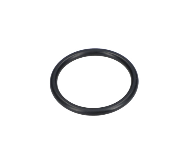 O RiNG - 1900210129 - BOSCH YEDEK PARCA