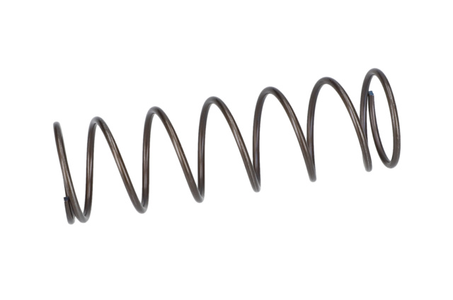 Baskı Yayı - 3604616013 - BOSCH YEDEK PARCA