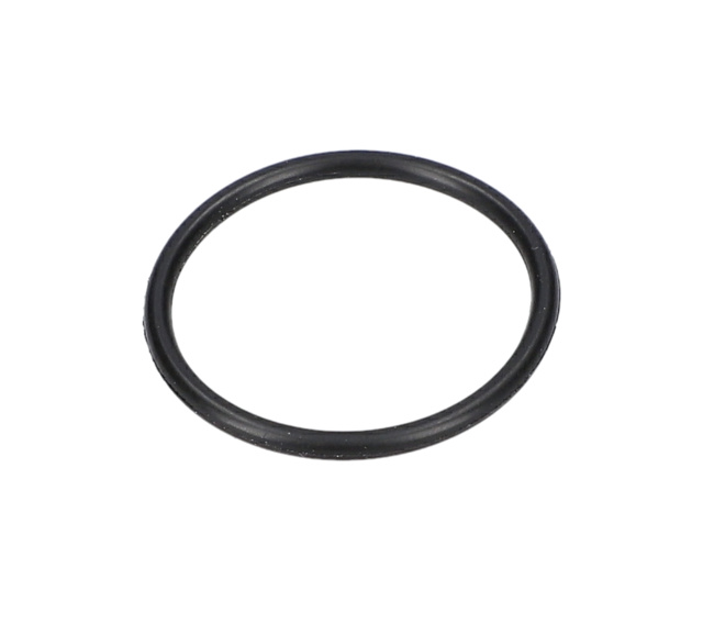 O RiNG - F000640007 - BOSCH YEDEK PARCA