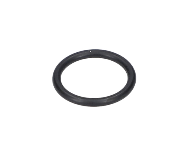O RiNG - F016F03431 - BOSCH YEDEK PARCA