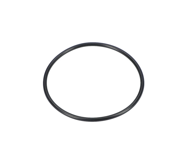 O RiNG EA100 - F016F05776 - BOSCH YEDEK PARCA