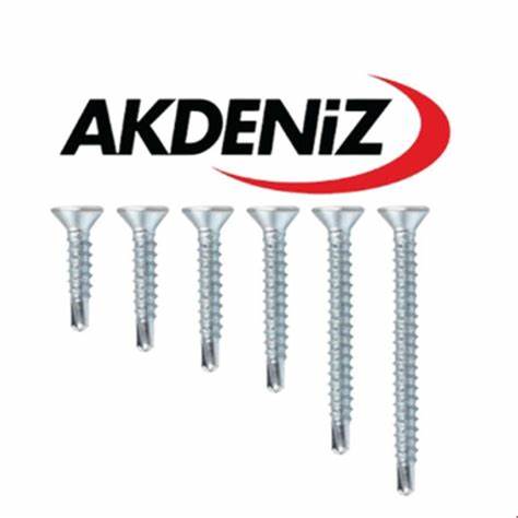 AKDENiZ YHB MATKAP UÇLU ViDA 4.8X70 (200 AD.)