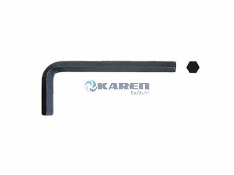 CERPA KISA ALLEN ANAHTAR 10 MM