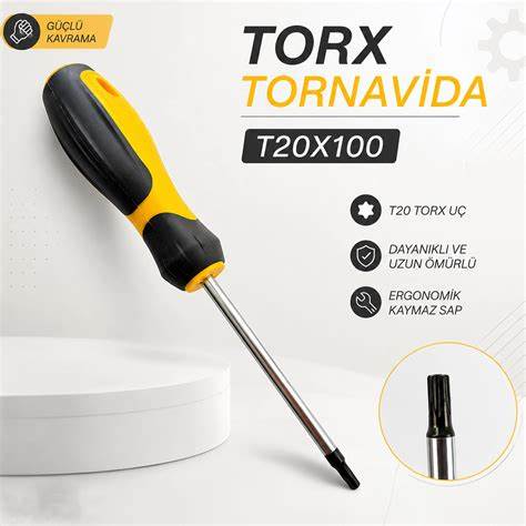 RXT0020 TORX UÇLU TORNAViDA T20X100 MM