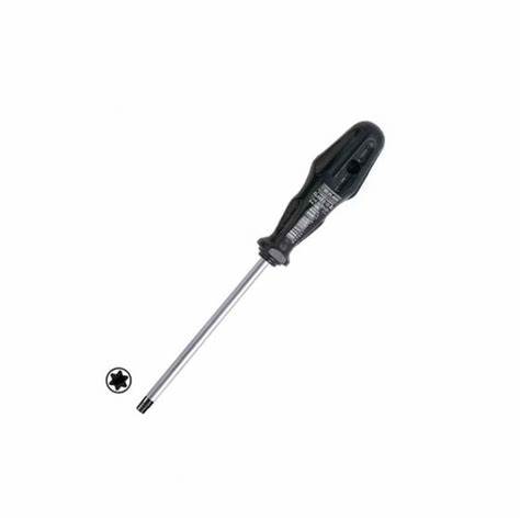 RXT0025 TORX UÇLU TORNAViDA T25X100 MM