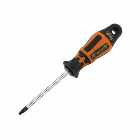 RXT1010 TORX UÇ DELiKLi TORNAViDA T10X80 MM