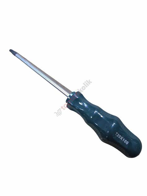 RXT1020 TORX UÇ DELiKLi TORNAViDA T20X100 MM