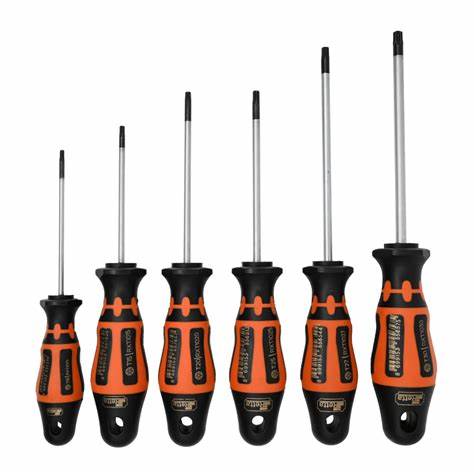 RXT1030 TORX UÇ DELiKLi TORNAViDA T30X115 MM