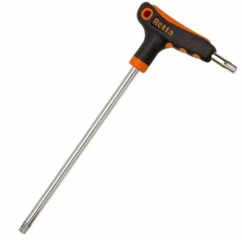 RXT2020 T SAPLI TORX ALLEN ANAH. T20x100 MM