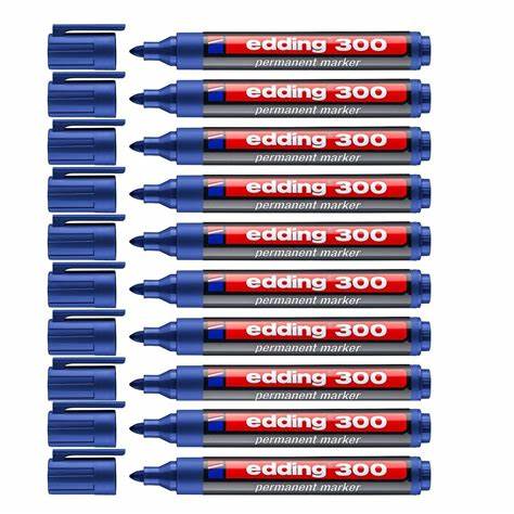 EDDiNG 300 KOLi KALEMi MAVi