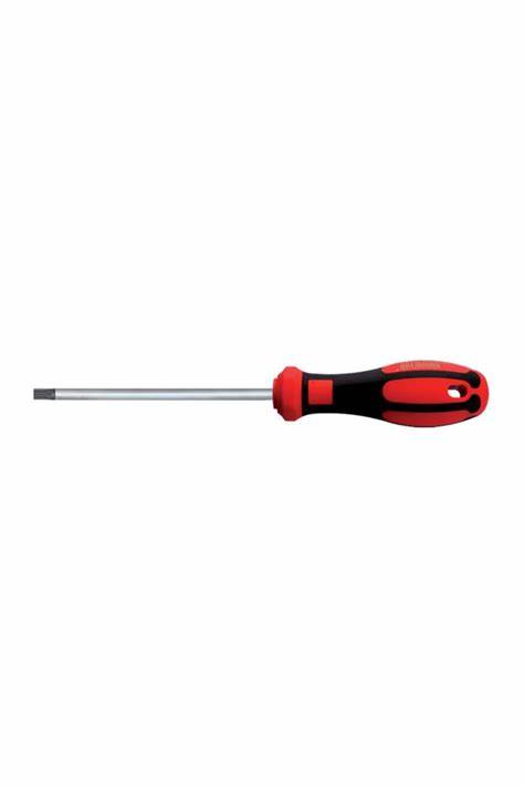 TORX TORNAViDA T10 X 80 MM