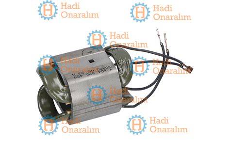 Kutup Pabucu