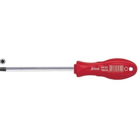 CERPA X PLUS TORX UÇLU TORNAVİDA T20X100 (0920)