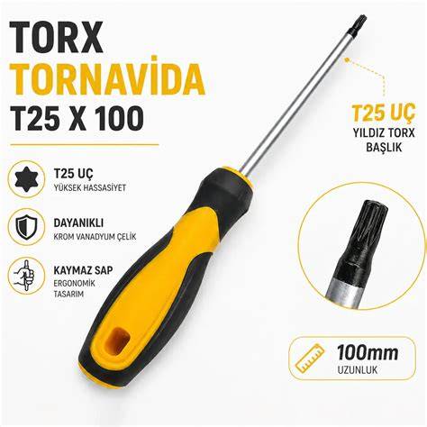 CERPA X PLUS TORX UÇLU TORNAVİDA T25X100 (0925)