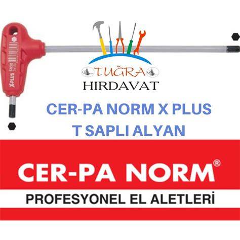 CERPA X PLUS T SAPLI ALLEN ANAHTAR 2.5x90 MM(5825)