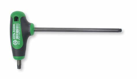 T Saplı TORX Anahtar - T40