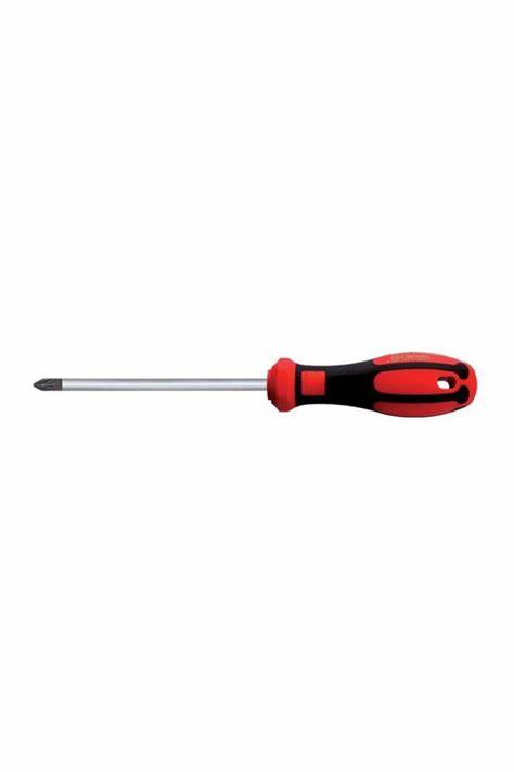 C-PLUS POZiDRiV UÇLU TORNAViDA - PZ0 X 60 MM
