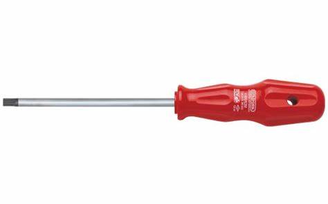 TOREX TORX UÇLU TORNAViDA - T10 X 80 MM