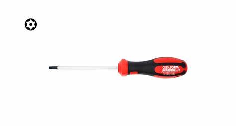 TOREX TORX UÇLU TORNAViDA - T25 X 100 MM